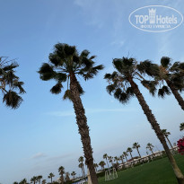 фото из отзыва ID 2603883