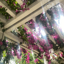 фото из отзыва ID 2603894