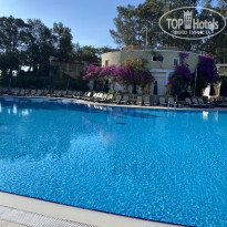 фото из отзыва ID 2603894