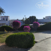 фото из отзыва ID 2603991