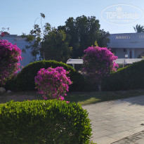 фото из отзыва ID 2603991