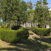 фото из отзыва ID 2603991