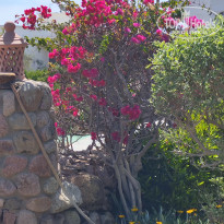 фото из отзыва ID 2603991