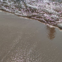 фото из отзыва ID 2603991