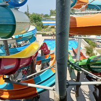 фото из отзыва ID 2604079