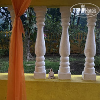 фото из отзыва ID 2604122