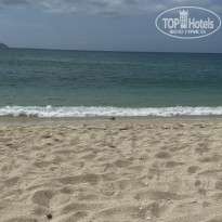 фото из отзыва ID 2604481