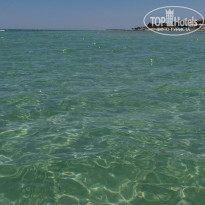 фото из отзыва ID 2604459