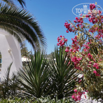 фото из отзыва ID 2604459