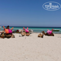 фото из отзыва ID 2604459