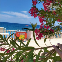 фото из отзыва ID 2604573