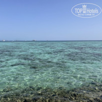 фото из отзыва ID 2604613