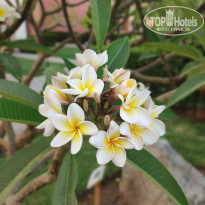 фото из отзыва ID 2604688