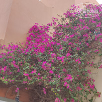 фото из отзыва ID 2604688