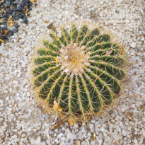 фото из отзыва ID 2604688