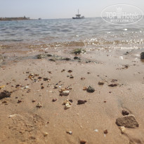 фото из отзыва ID 2604688