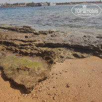 фото из отзыва ID 2604688