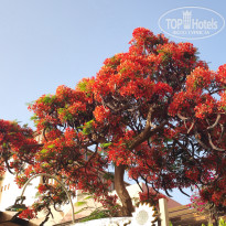 фото из отзыва ID 2604688