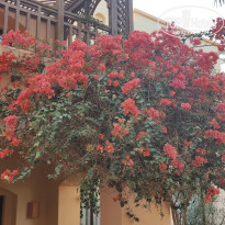 фото из отзыва ID 2604688