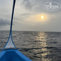 фото из отзыва ID 2604818