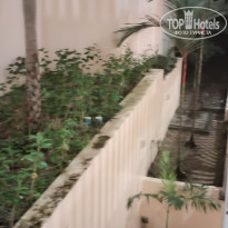 фото из отзыва ID 2604753