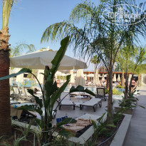 фото из отзыва ID 2604937