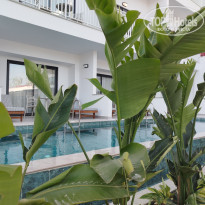 фото из отзыва ID 2604937