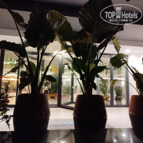 фото из отзыва ID 2604937