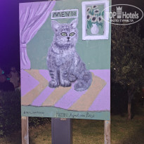 фото из отзыва ID 2605084