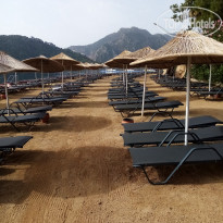 фото из отзыва ID 2605352