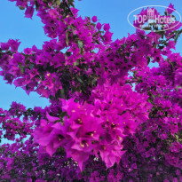фото из отзыва ID 2605480