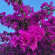 фото из отзыва ID 2605480