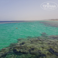 фото из отзыва ID 2605527