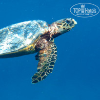 фото из отзыва ID 2605527