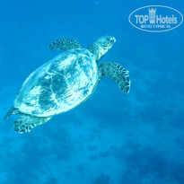 фото из отзыва ID 2605527