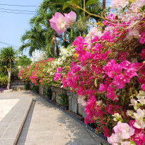 фото из отзыва ID 2605673