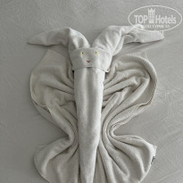 фото из отзыва ID 2605846