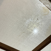 фото из отзыва ID 2605913