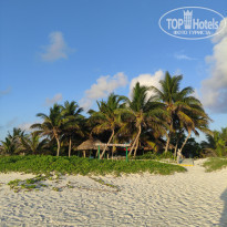 фото из отзыва ID 2605925