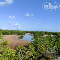 фото из отзыва ID 2605925