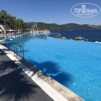 фото из отзыва ID 2604105