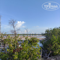 фото из отзыва ID 2605925