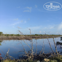 фото из отзыва ID 2605925