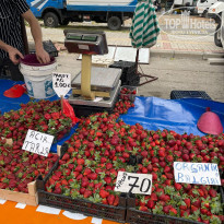 фото из отзыва ID 2606163