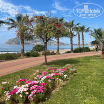 фото из отзыва ID 2606163