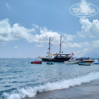 фото из отзыва ID 2606121