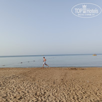 фото из отзыва ID 2606251