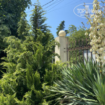 фото из отзыва ID 2606346