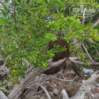 фото из отзыва ID 2605925