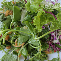 фото из отзыва ID 2606443